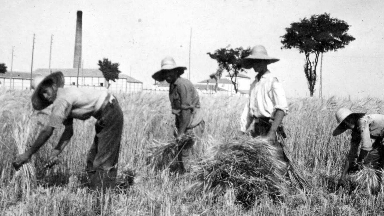 Defendiendo Privilegios: Memorias de una Guerra Histórica