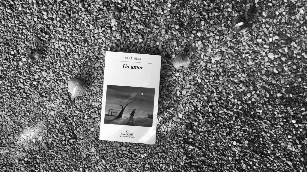 El Amor y la Precariedad en ‘Un Amor’ de Sara Mesa