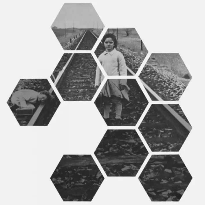 El Espíritu de la Colmena: Un Viaje de Descubrimiento